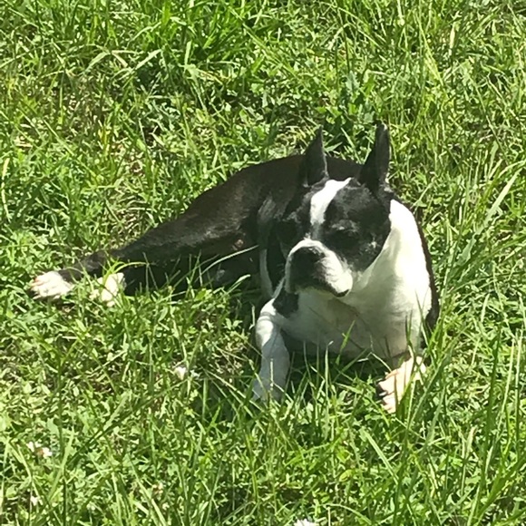 Meet your Posher, Anna - Picture 2 of 2